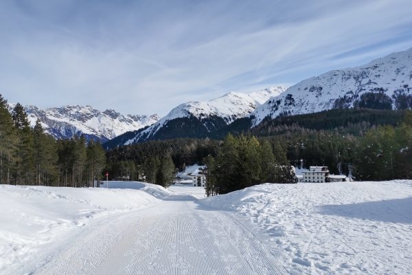 Soleil hivernal dans la vallée de la Landwasser