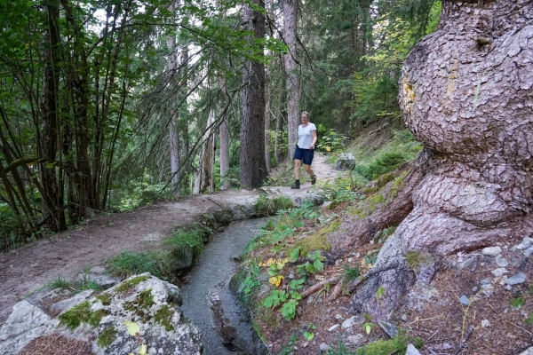 Höhenweg ins Fieschertal