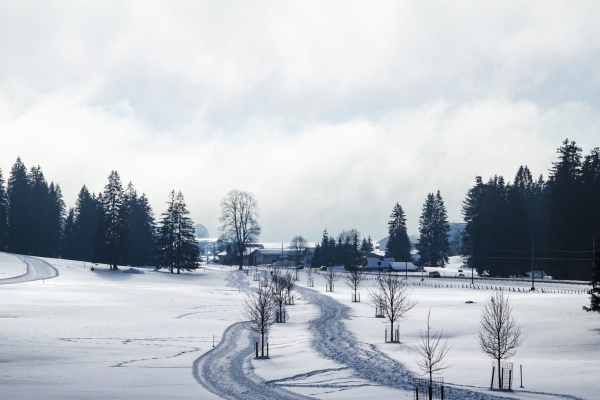 Randonnée hivernale dans les Franches-Montagnes