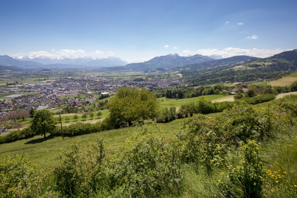 Du Vorderland appenzellois à la vallée du Rhin