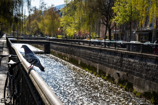 Balade urbaine à Bienne