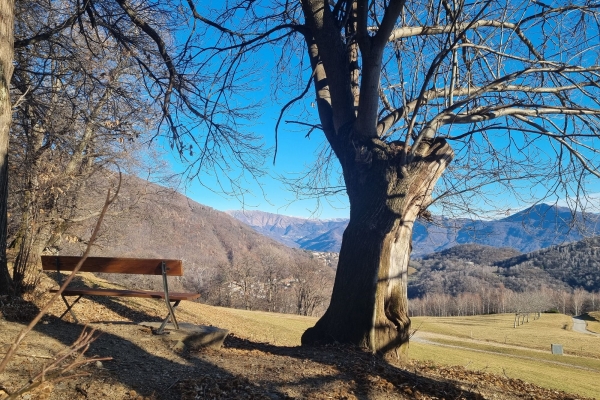 Da Breno a Breno passando per lo Zottone, fra grandi maschere che ci osservano e vecchie miniere di ferro.