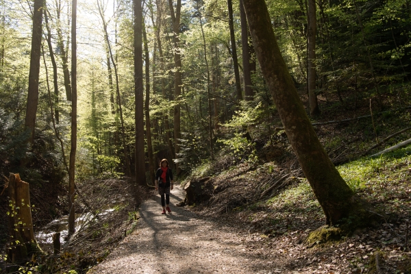 Von Weinfelden nach Frauenfeld