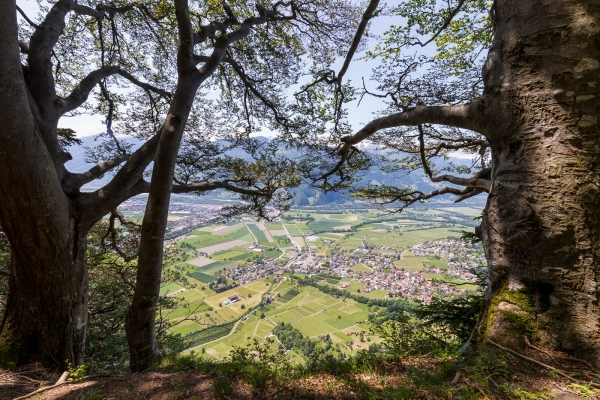 Über den Crupspitz von Seewis nach Malans