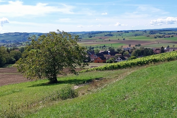 Von Hemmental nach Siblingen