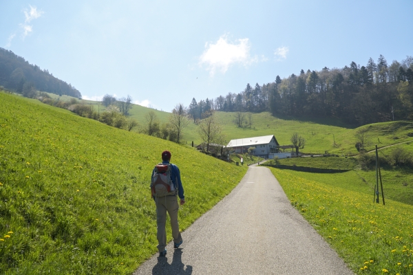 Schmetterlingstour auf der dritten Jurakette