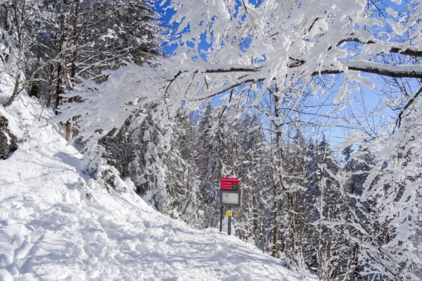 Toute la journée dans la neige 