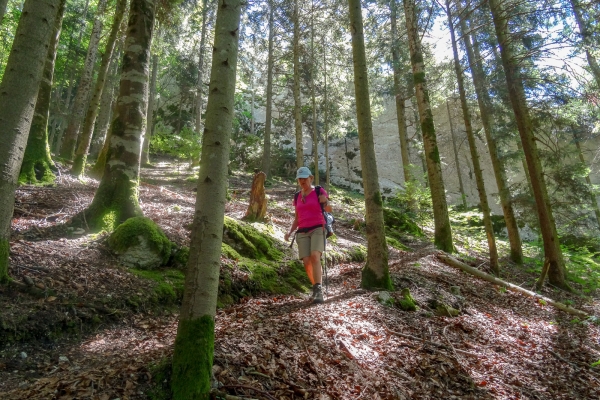 Fraîcheur et ombrage dans le Jura