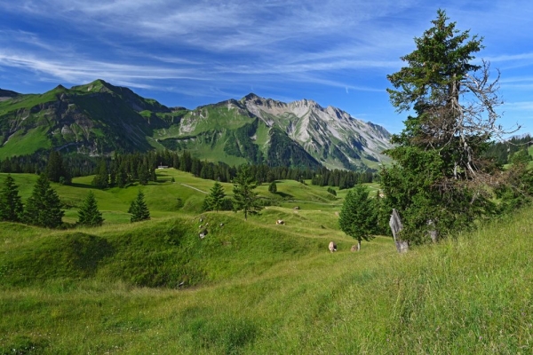 Moorzauber am Obwaldner Glaubenberg