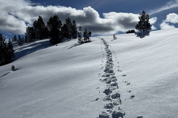 Schneeschuhwanderung Jänzi