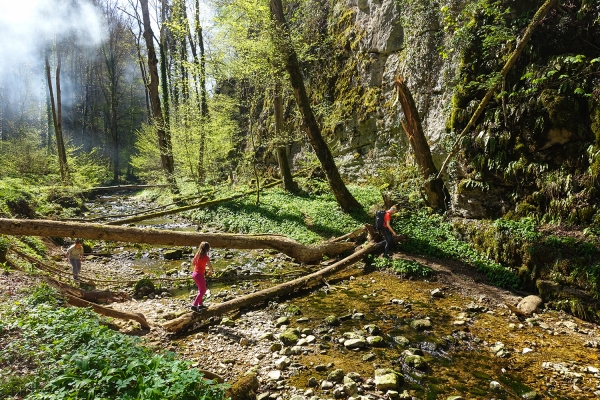 Ausflug in die Steinzeit