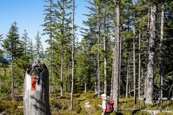 D’Unteriberg à Gross en passant par le Spital