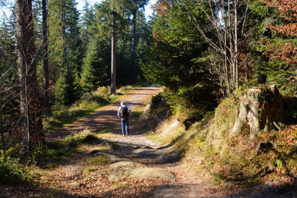 Randonnée d’automne sur le Muetegg