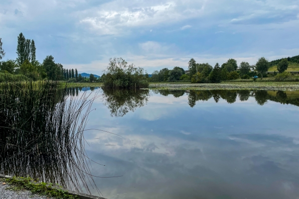 Histoire et profusion de nature à Jonschwil