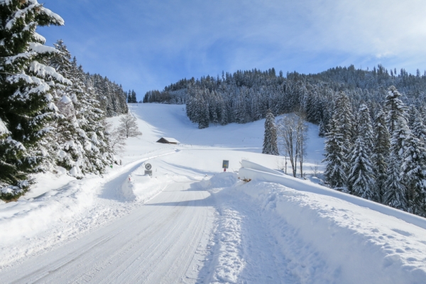 De Heiligenschwendi à Schwanden