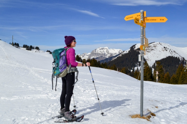 Schneeschuhwanderung über dem Genfersee