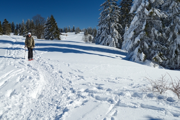 Belles vues lors d'un tour en raquettes dans le Jura