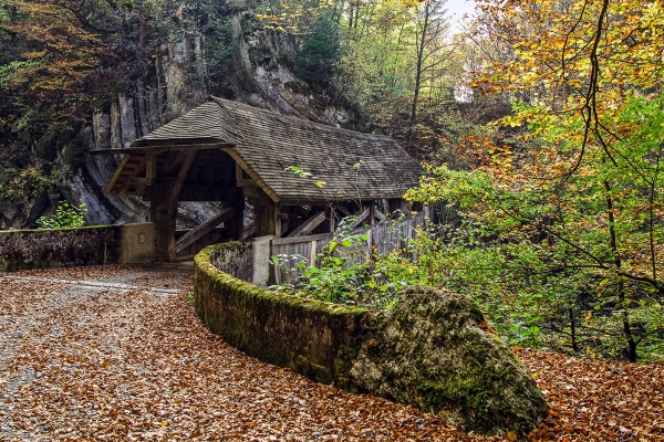 Sentier agro-sylvicole dans l’Intyamon