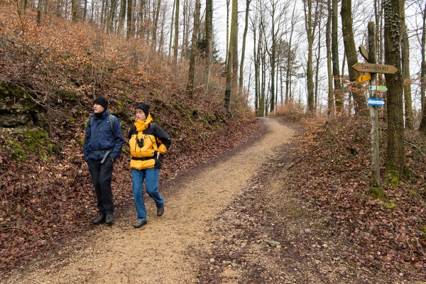 Über den Heuberg ins Fricktal