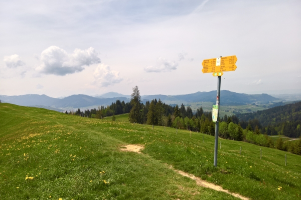 Alpages entre les lacs de Sihl et de Zurich