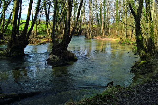 Von Chavannes-de-Bogis nach Versoix