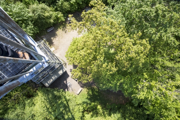 Im Land der Eulen am zürcherischen Irchel