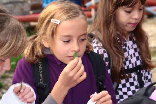 Aktivitäten für Schulklassen in der Natur