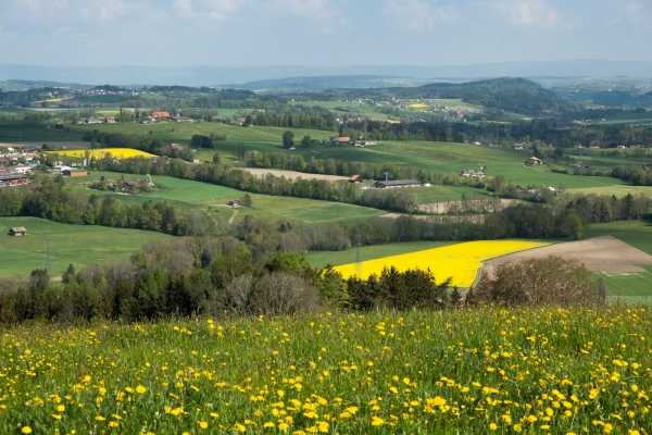 Vom Waadtländer Mittelland ins Lavaux