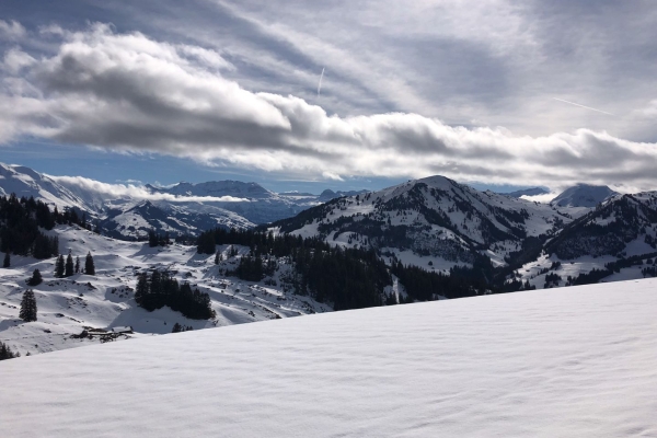 Panoramawanderung über verschneite Hochmoorflächen