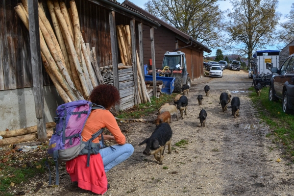 La Wolfsschlucht et le parc naturel de Thal