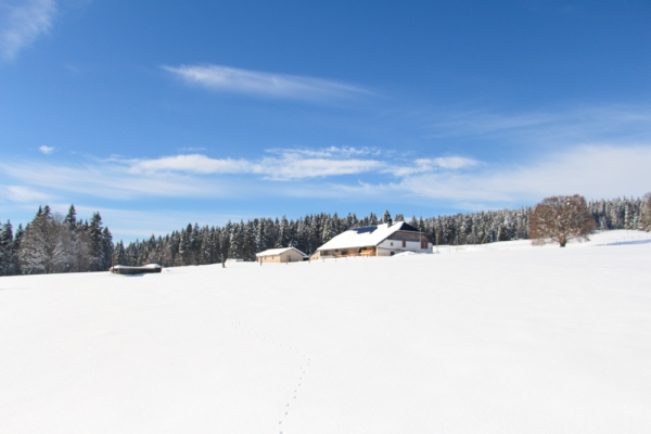 Vallée de Joux mystique