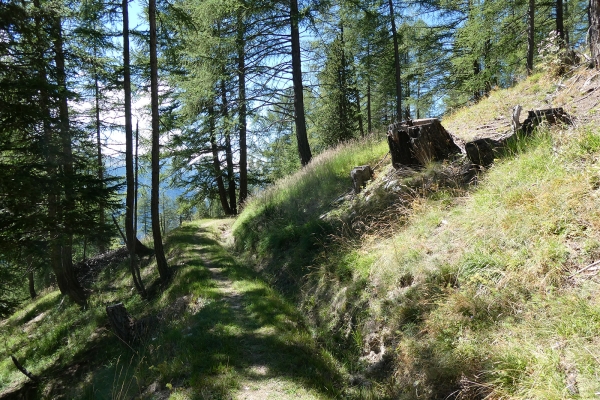 Einen Blick in den Illgraben werfen