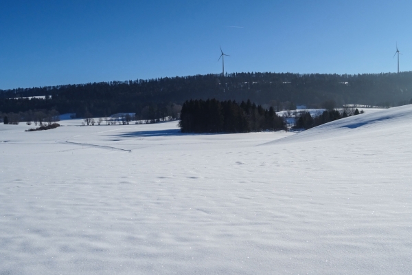 Winterwandern in den Freibergen