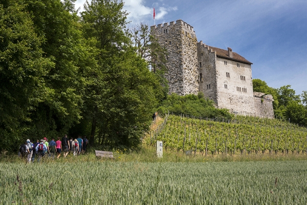 De Habsburg au château de Wildegg