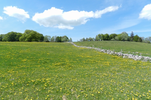 Historische Markierungen über der Areuse