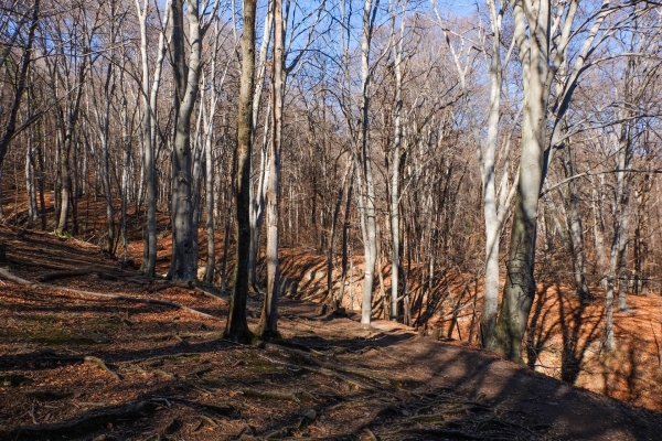 Kirchen und Kapellen im Val Capriasca