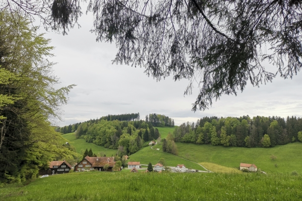 Entraînement dans l’avant-pays appenzellois 