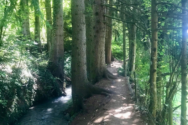 Bisse spectaculaire et vignobles