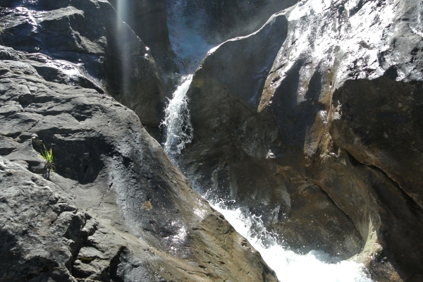 Belles découvertes aux Diablerets