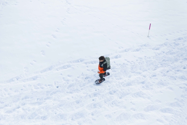 Vue imprenable sur le Hochalp Trail