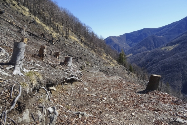 Sur les pentes ensoleillées des Centovalli