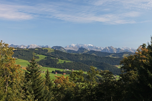 Tour du lac de Zurich