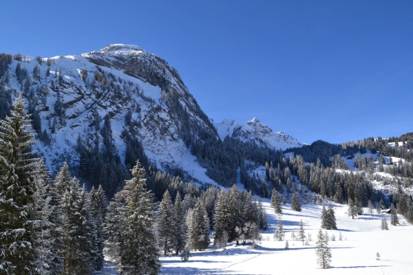 Winterzauber im Saanenland