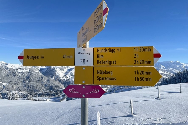 Jaunpass, Cabane de l'Oberenegg