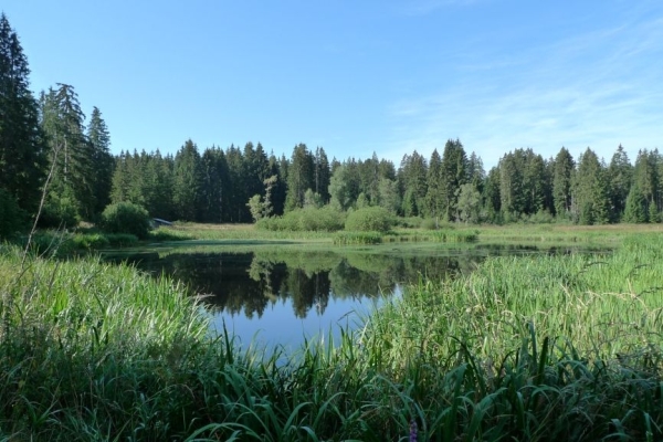 Panoramawanderung und Naturperle