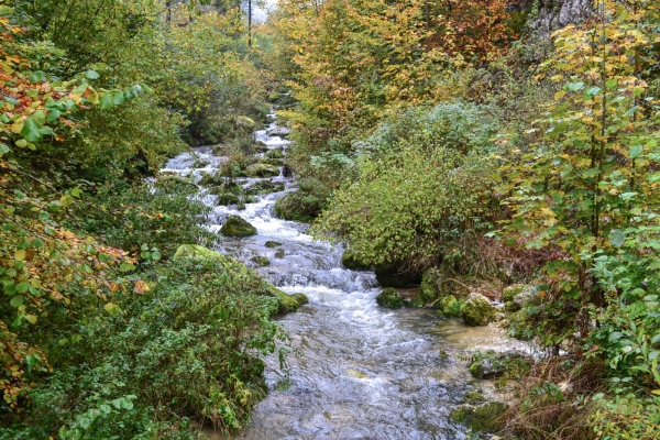 Durch die Wolfsschlucht im Naturpark Thal