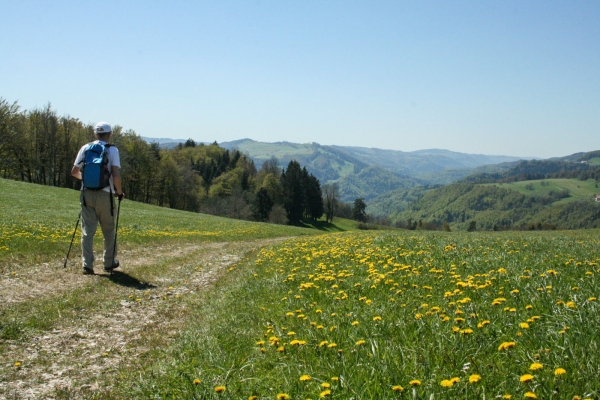 Le Jura en lieux-dits