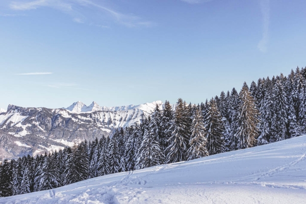 Un conte d’hiver dans les Préalpes fribourgeoises