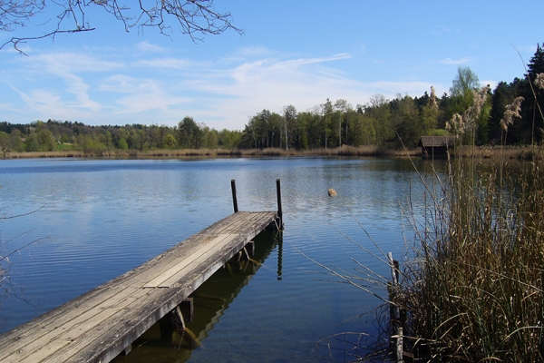 Vom Paradies ins Weinland