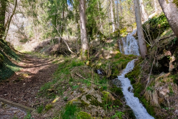 Cultura della costruzione autoctona nel Basso Simmental